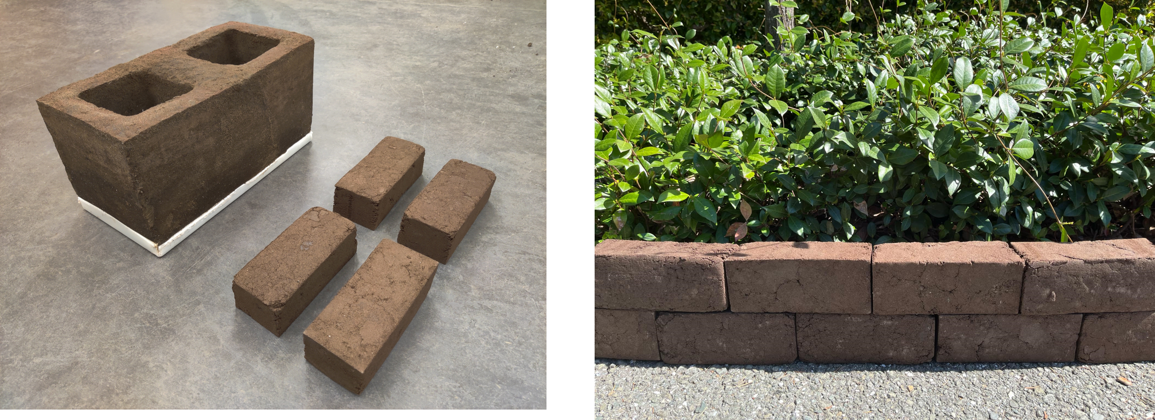 Engineered Biopolymer Composite bricks and blocks