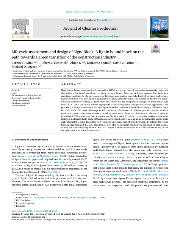 LignoBlock Publication